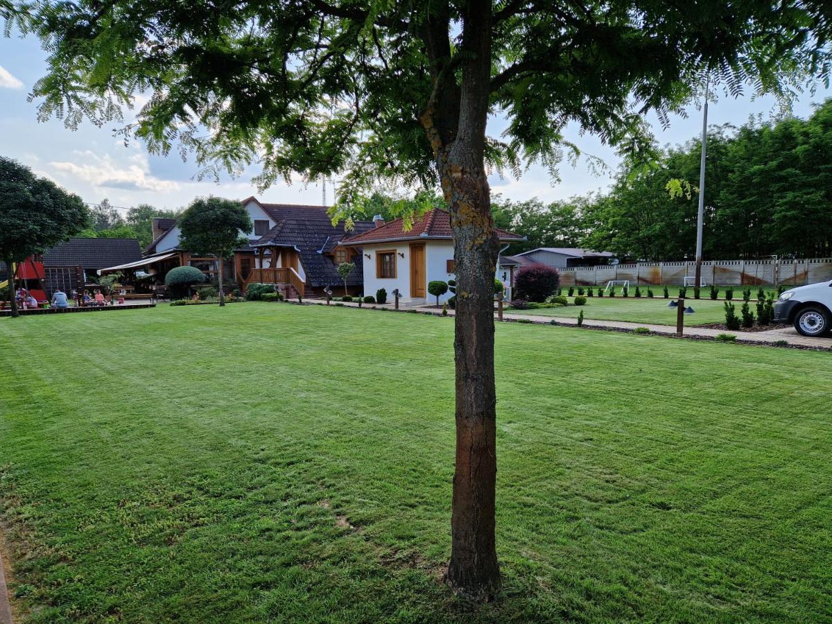Csalanosi Vendeghaz Hotel Kecskemet Exterior photo